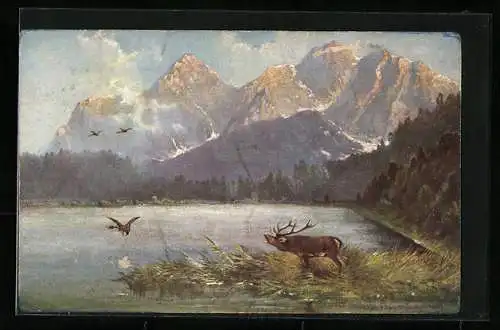 Künstler-AK August Müller - München: Hirsch und Enten vor sonniger Berglandschaft