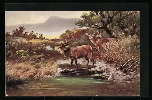 Künstler-AK Alfred Schönian: Hirschfamilie am Fluss