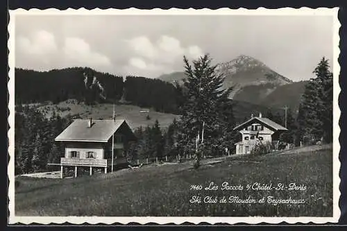 AK Châtel-Saint-Denis, Les Paccots, Ski Club de Moudon et Teysachaux