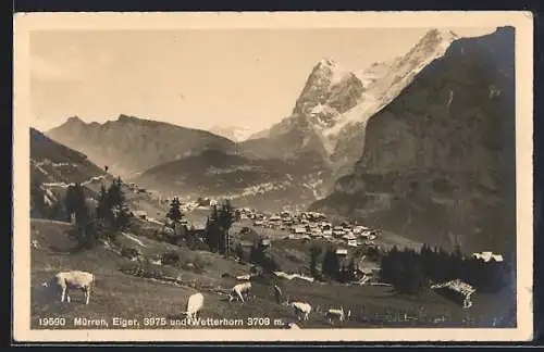 AK Mürren, Teilansicht mit Eiger und Wetterhorn