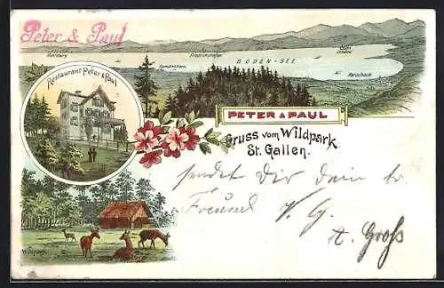 Lithographie St. Gallen, Restaurant Peter & Paul, Wildpark-Idylle, Totalansicht mit Bodensee