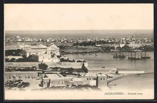 AK Alexandria, General view