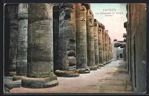 AK Abydos, Les Colonnades du Temple Shetos I