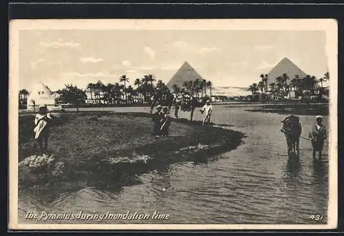 AK Cairo, The Pyramids during Inondation time