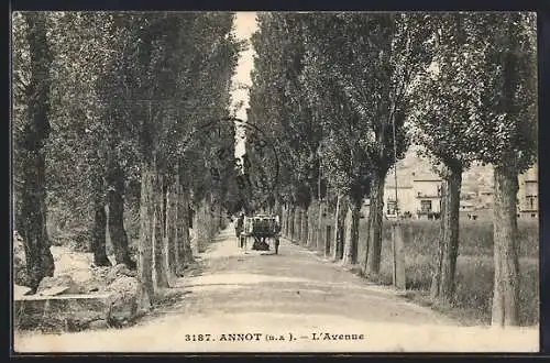 AK Annot /B.-A., L`Avenue