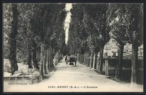 AK Annot, L'Avenue