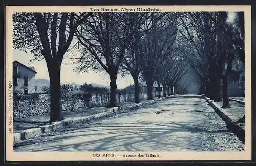 AK Les Mees, Avenue des Tilleuls