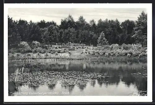AK Jesteburg /Lüneburger Heide, Teich
