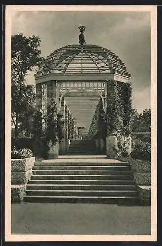 AK München-Nymphenburg, Botan. Garten, Pergola