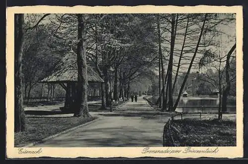 AK Eisenach, Promenade am Prinzenteich