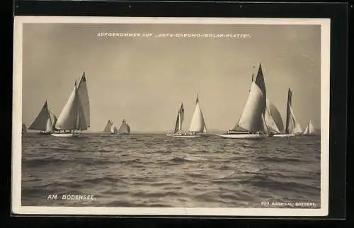 AK Segelboote auf dem Bodensee