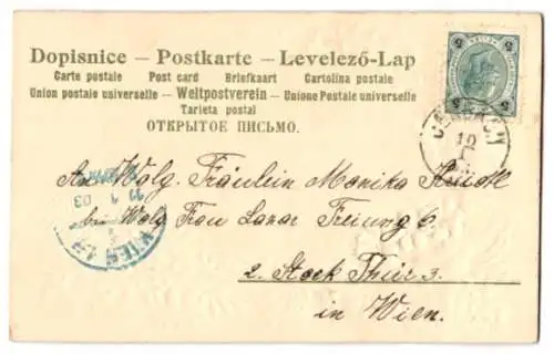 Stoff-Präge-AK Brieftaube über der Stadt, Passepartout mit Blumen aus echtem Stoff