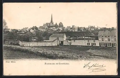 AK Gosselies, Panorama