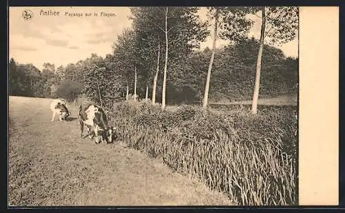 AK Anthée, Paysage sur le Floyon