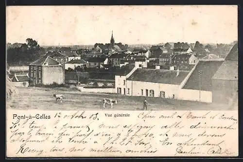 AK Pont-à-Celles, Vue générale