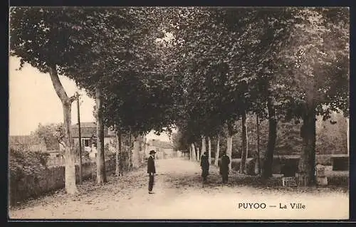 AK Puyoo, La Ville