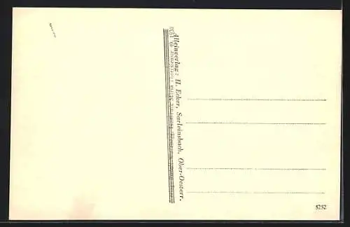 AK Sarleinsbach /O.-Ö., Ortsansicht mit Kirche