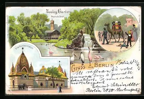 Lithographie Berlin-Charlottenburg, Zoologischer Garten, Neptuns-Teich, Kamel-Reiten und Elefantenhaus