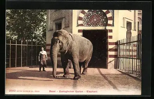 AK Basel, Zoologischer Garten, Elephant