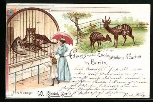 Lithographie Berlin, Zoologischer Garten, Königstiger, Antilopen