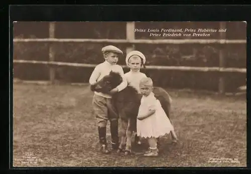 AK Prinz Louis Ferdinand, Prinz Hubertus und Prinz Friedrich von Preussen mit einem Pony