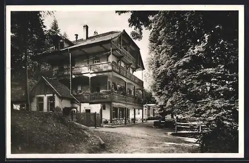 AK Schlierbach-Heidelberg, Das Café-Restaurant Wolfsbrunnen