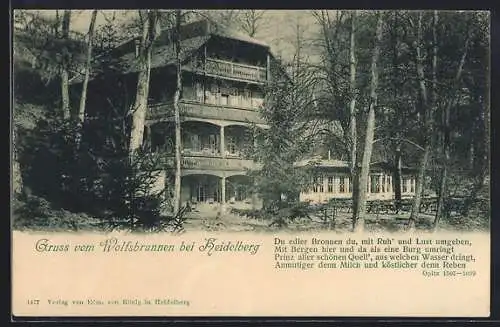 AK Heidelberg, Blick auf den Wolfsbrunnen