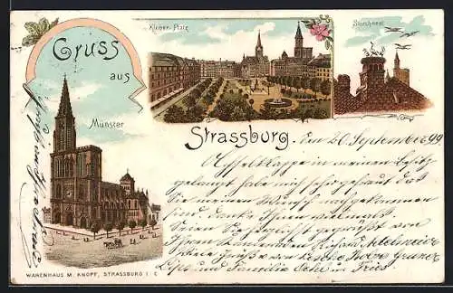 Lithographie Strassburg, Münster, Kleber-Platz, Storchnest