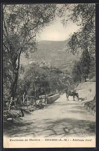 AK Gorbio /A.-M., Environs de Menton