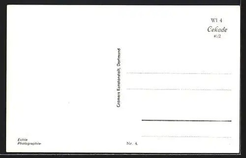 AK Werl, Presshefe-Fabrik, Salinwerke und Kurgarten