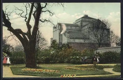 AK Hannover-Herrenhausen, Blick zum Palmenhaus