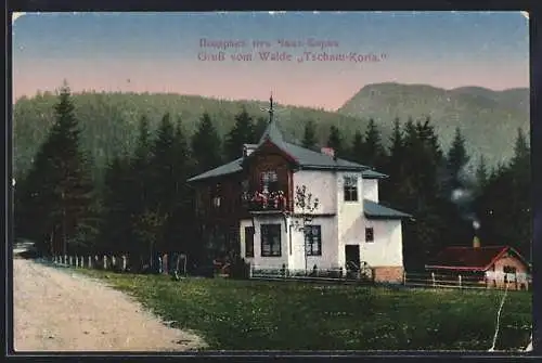 AK Borovets /Tscham-Koria, Villa im Walde