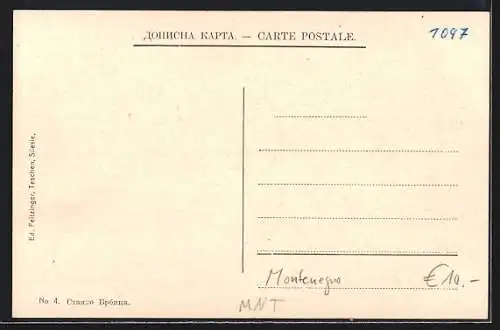 AK Niegus, Le Palais de S.A.R. le Prince Nicolas