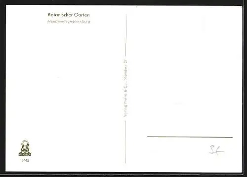 AK München-Nymphenburg, Botanischer Garten