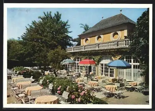 AK München-Nymphenburg, Cafe im Botanischen Garten vom Rosengarten gesehen