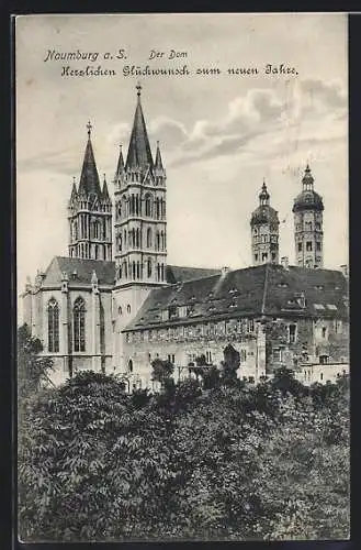 AK Naumburg a. S., Dom, Neujahrsgruss