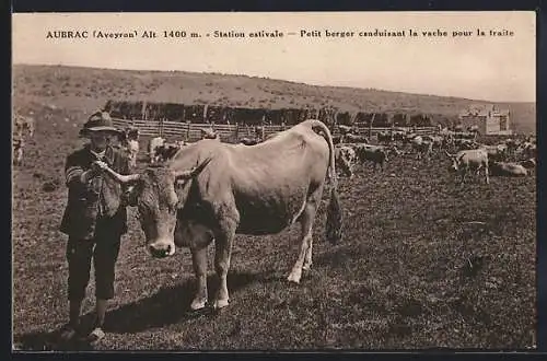 AK Aubrac /Aveyron, Petit berger conduisant la vache pour la traite, Station estivale