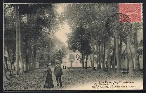 AK Orthez, Les Pyrénées Illustrées, L`Allée des Platanes