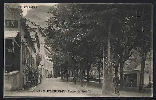 AK Eaux-Chaudes, Promenade Henri IV.