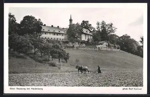 AK Heidelberg, Abtei Neuburg