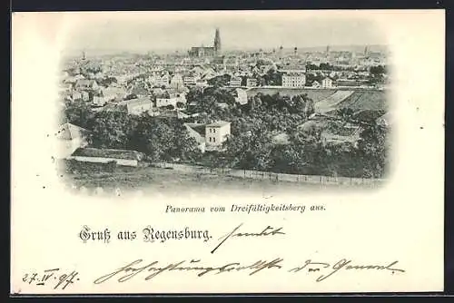 AK Regensburg, Panorama vom Dreifaltigkeitsberg aus