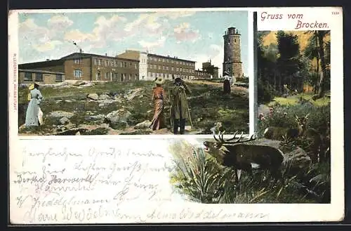 AK Brocken / Harz, Aussichtsturm auf dem Brocken, Hirsche im Wald