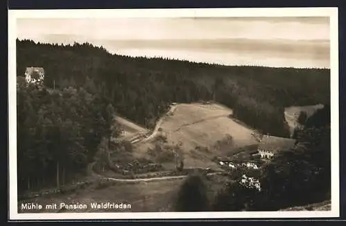AK Besenfeld, Hotel-Pension Waldfrieden mit Mühle