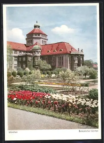 AK München, Botanischer Garten, Eröffnet 1914