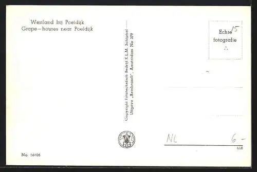 AK Westland bij Poeldijk, Grape Houses