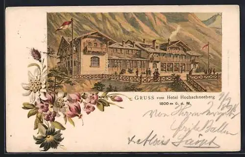 Lithographie Hochschneeberg, Hotel Hochschneeberg, Alpenblumen