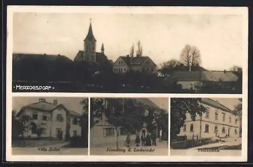 AK Herzogsdorf, Handlung d. Luckeneder, Villa Zeller, Volksschule