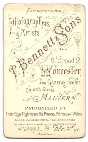 Fotografie T. Bennett & Sons, Worcester, Broad Street 8, Profilansicht einer Dame mit kunstvoll geflochtenem Haar