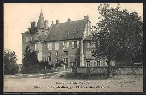 AK Boissy-le-Bois, Le Chateau