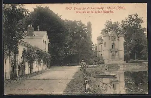 AK Coye /Oise, Chateau de la Reine Blanche